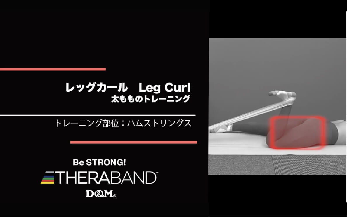 レッグカール/ハムストリングス/Leg Curl