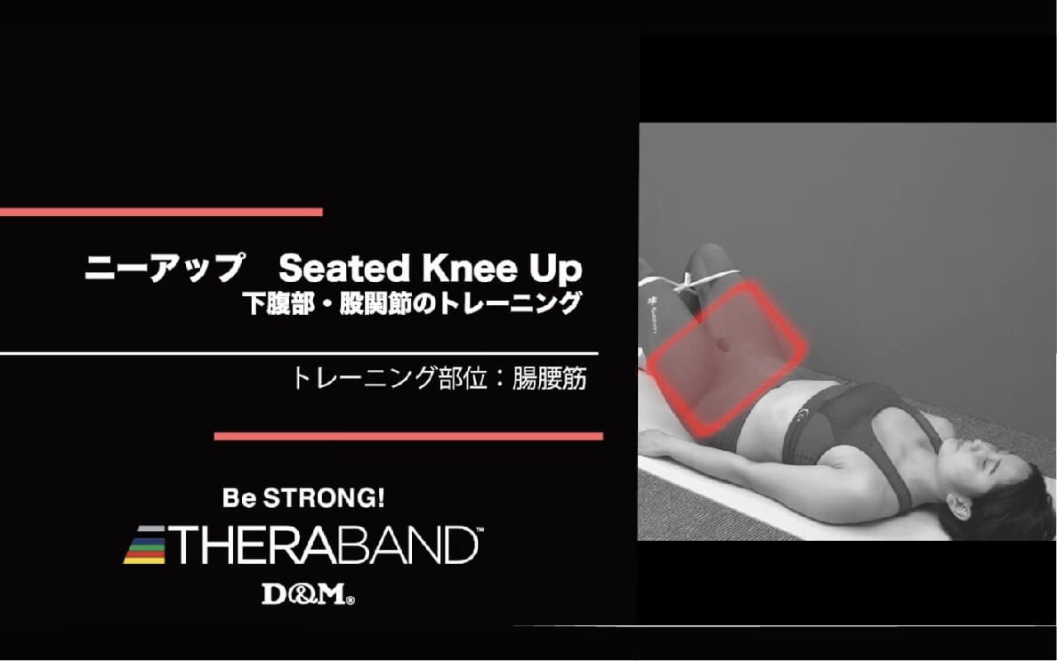 ニーアップ/腸腰筋/Seated Knee Up