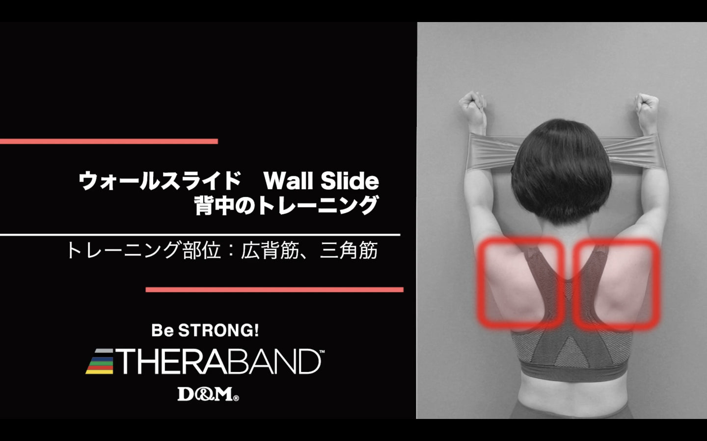 ウォールスライド/広背筋・三角筋/Wall Slide