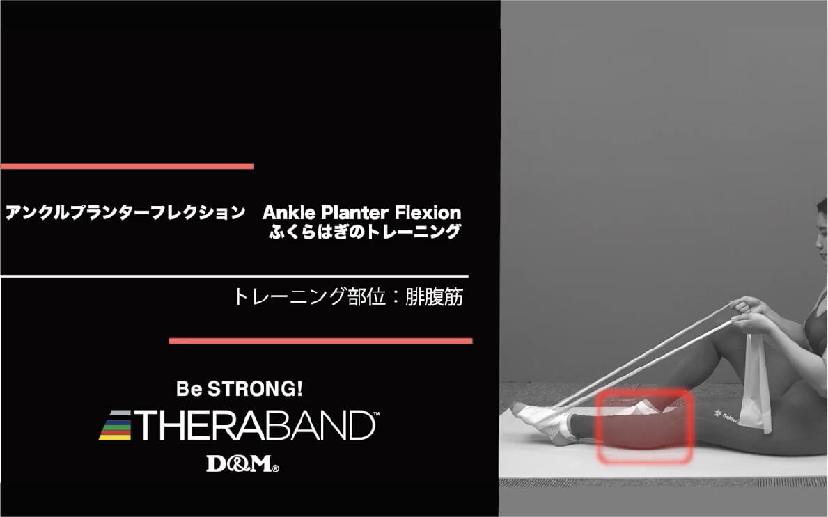 アンクルプランターフレクション/腓腹筋/Ankle Planter Flexion