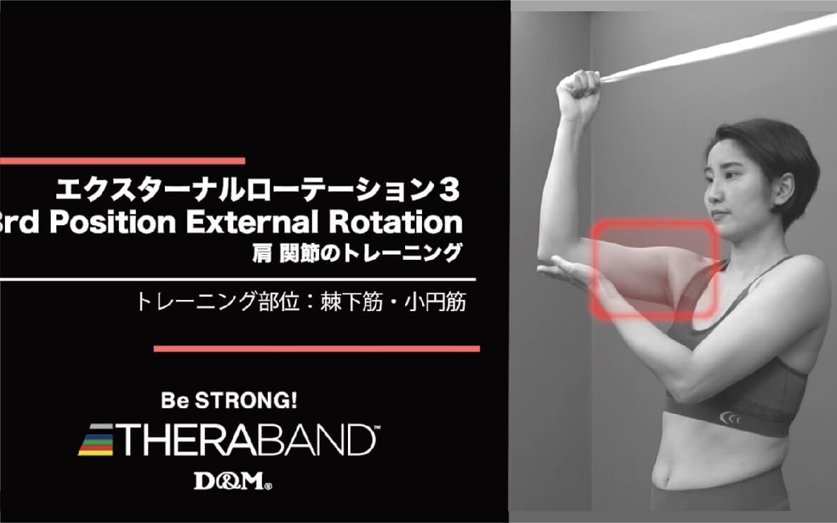 エクスターナルローテーション 3/棘下筋・小円筋/3rd Position External Rotation