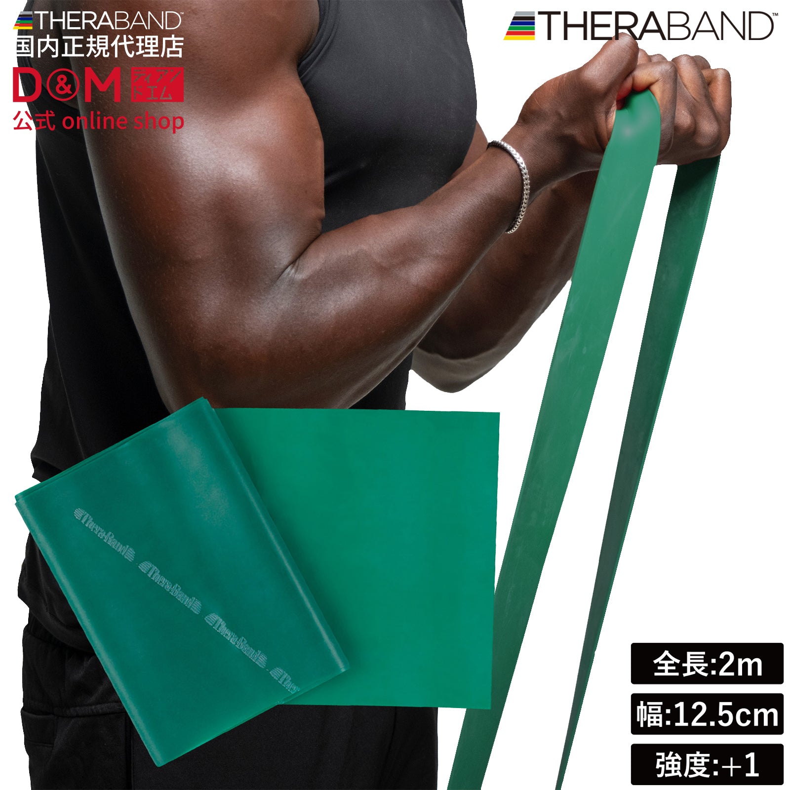 THERABAND セラバンド ブリスターパック 長さ2m 強度レベル+1 グリーン #TBB-3