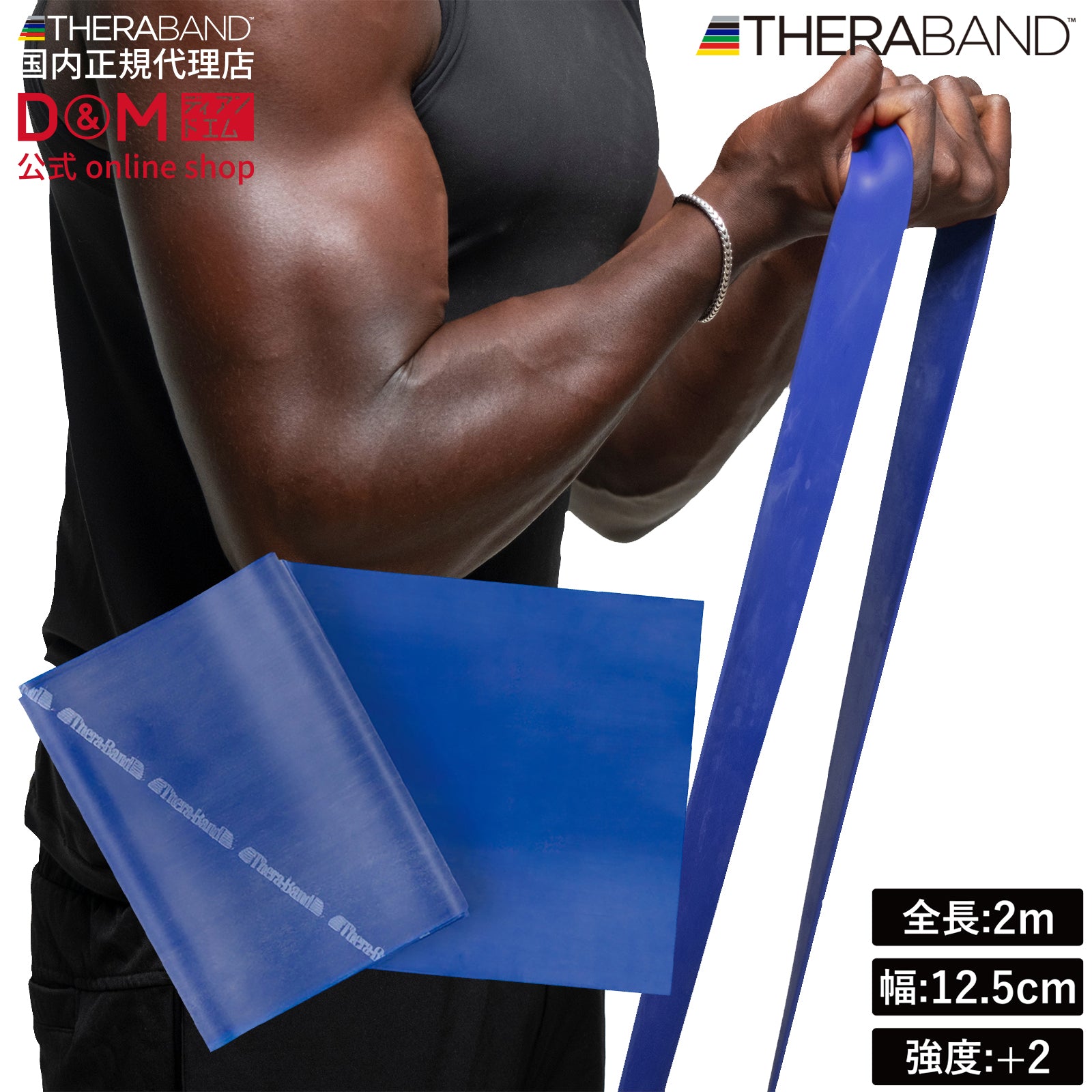 THERABAND セラバンド ブリスターパック 長さ2m 強度レベル+2 ブルー #TBB-4