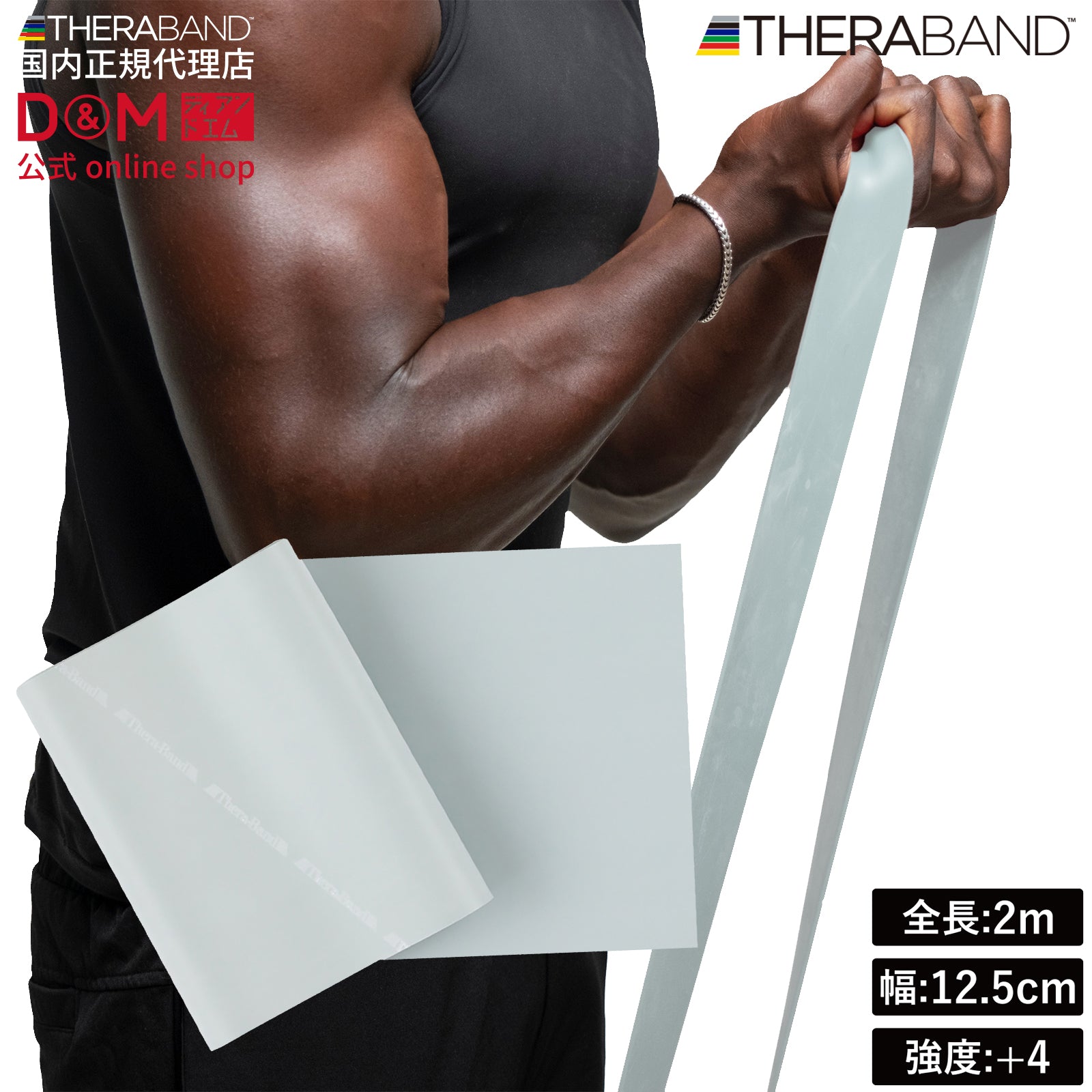 THERABAND セラバンド ブリスターパック 長さ2m 強度レベル+4 グレー #TBB-6